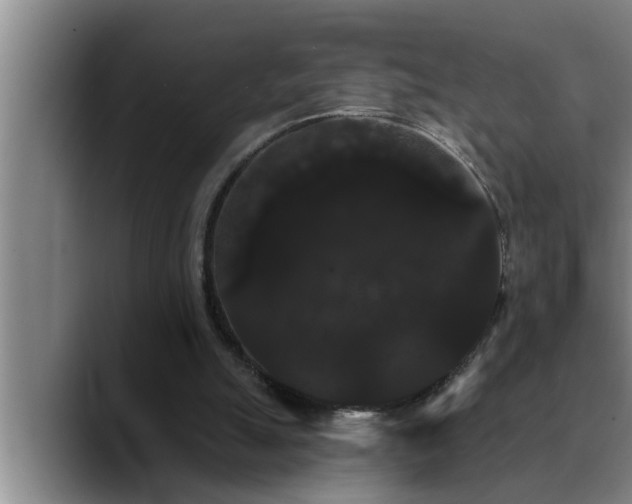 X0000090710055200707201223