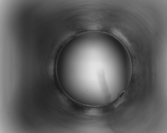 X0000090710058200707201223