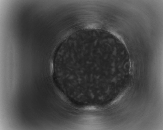 X0000090710061200707201223