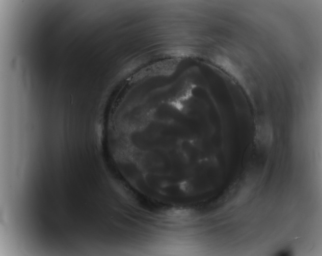 X0000090710063200707201223