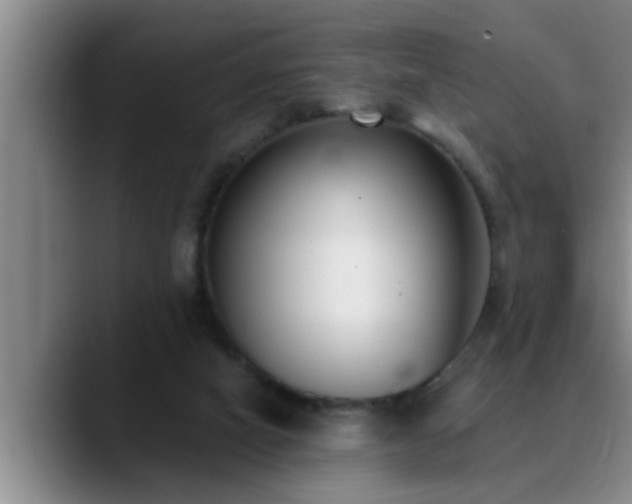 X0000090710066200707201223