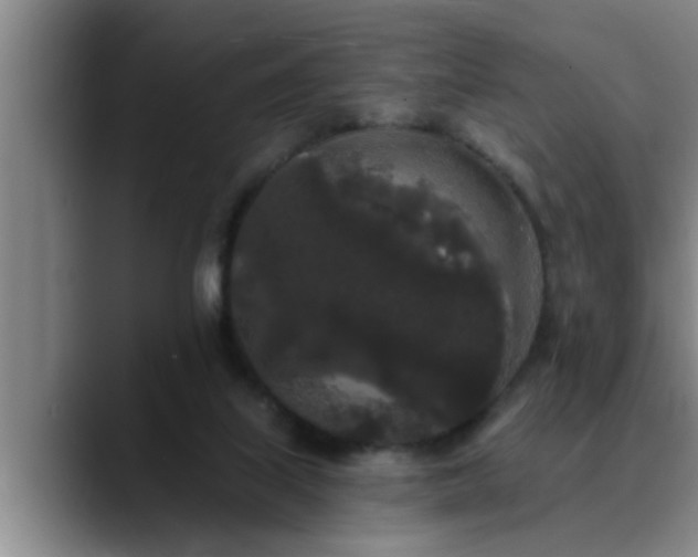 X0000090710067200707201223