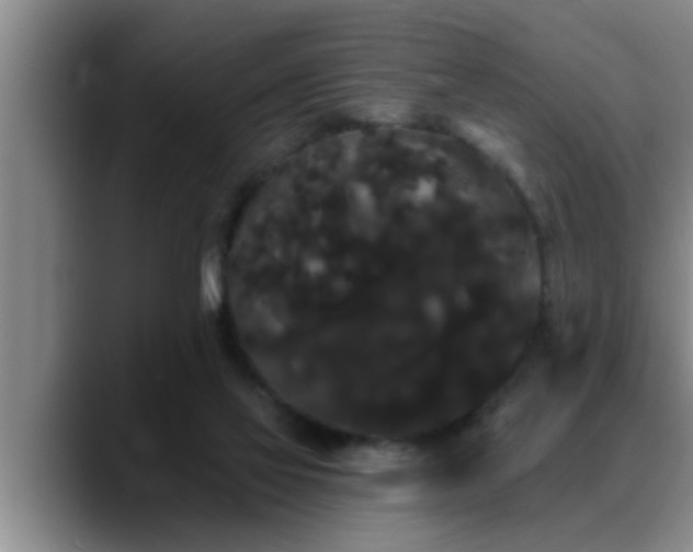 X0000090710069200707201223