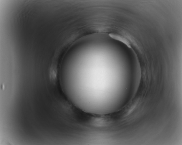 X0000090710072200707201223