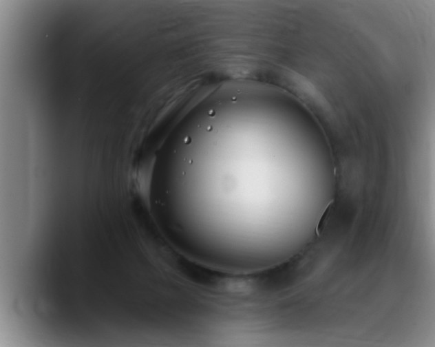 X0000090710073200707201223