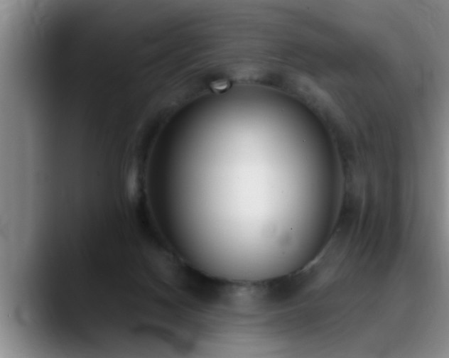 X0000090710074200707201223