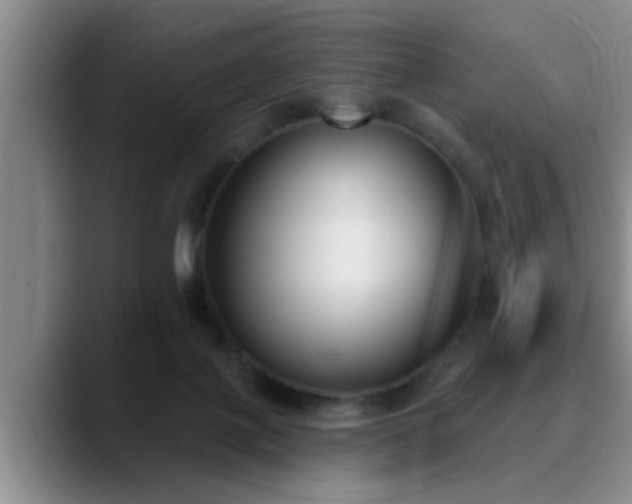 X0000090710075200707201223