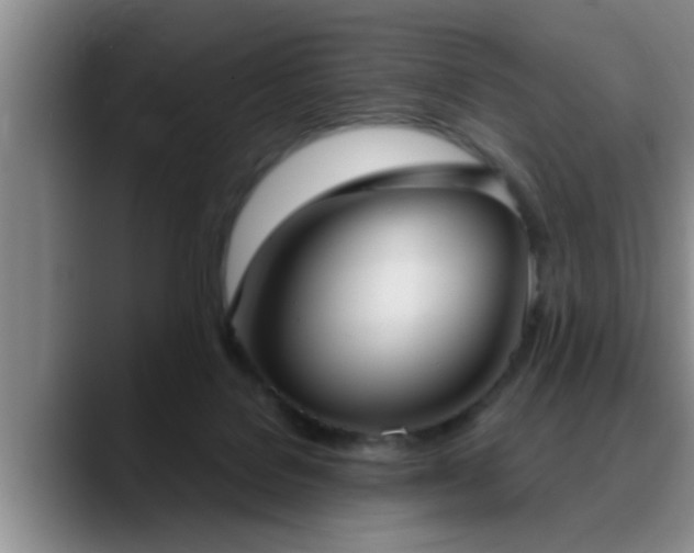 X0000090710076200707201223