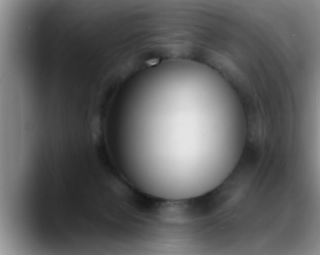 X0000090710077200707201223