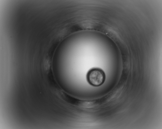 X0000090710081200707201223