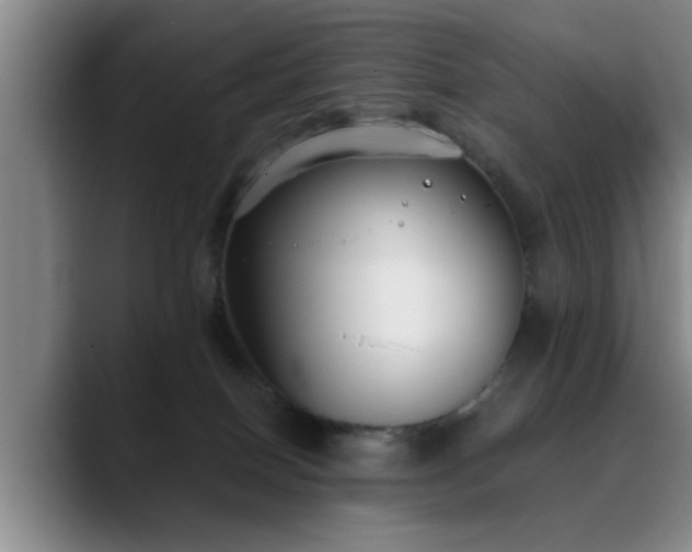 X0000090710086200707201223