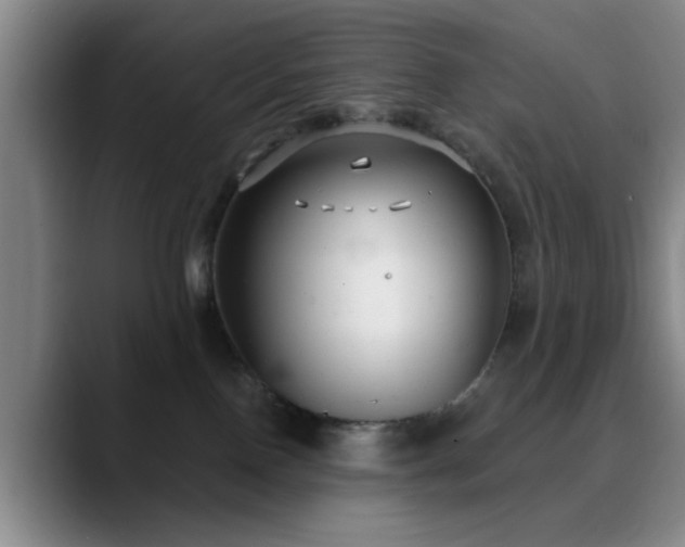 X0000090710090200707201223