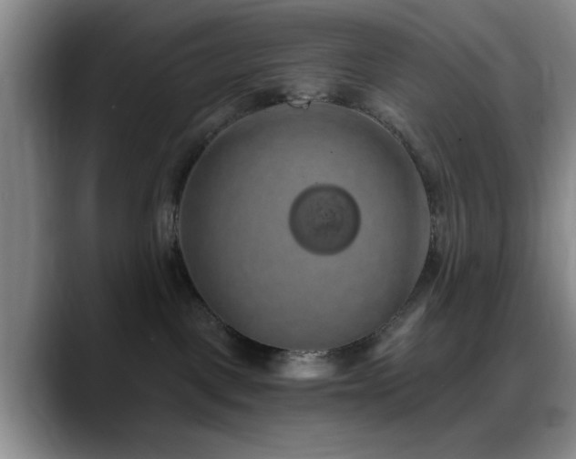 X0000090710093200707201223