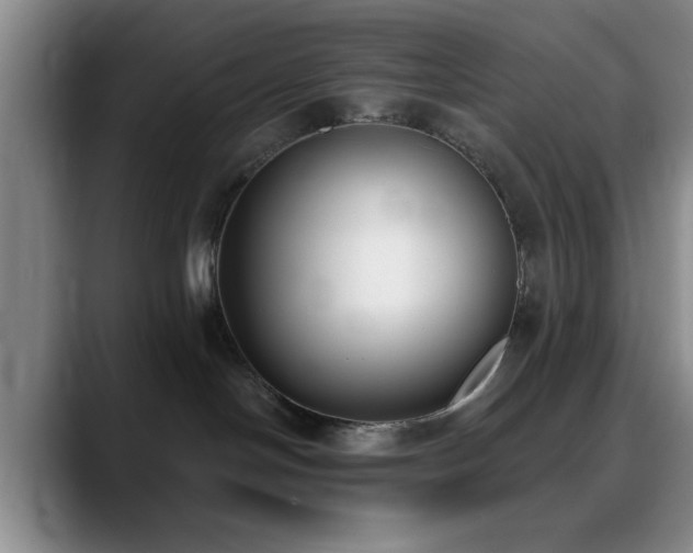 X0000090710094200707201223