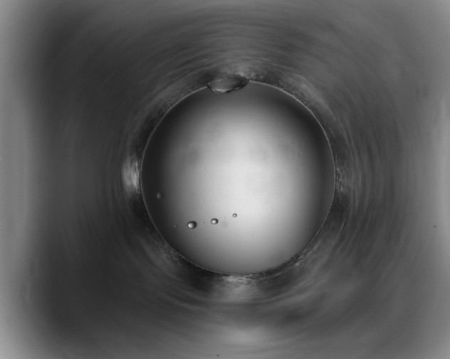 X0000090710095200707201223