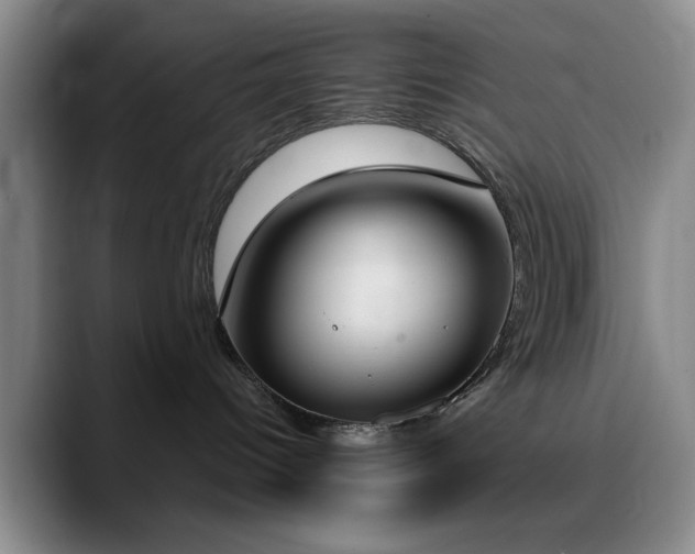 X0000090710096200707201223