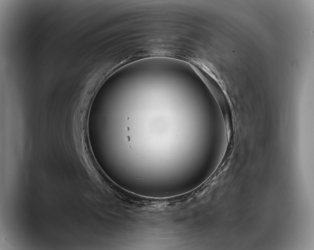 X0000090710097200707201222