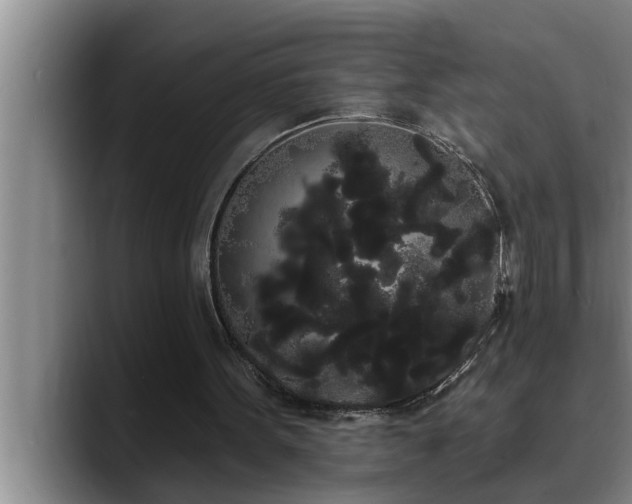 X0000090710099200707201222