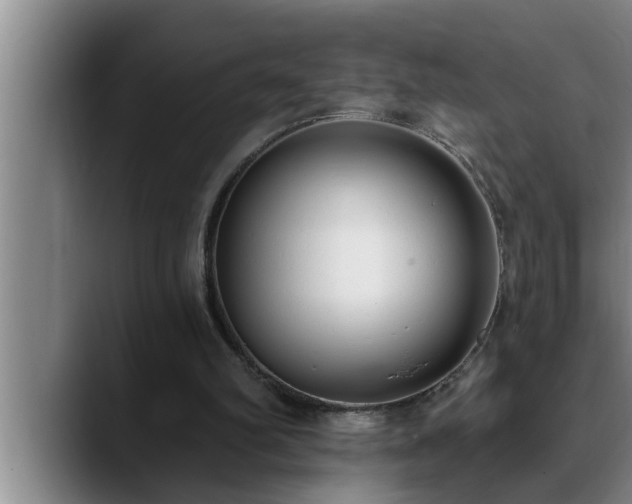 X0000090710102200707201222