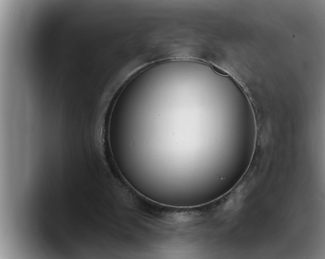 X0000090710103200707201222