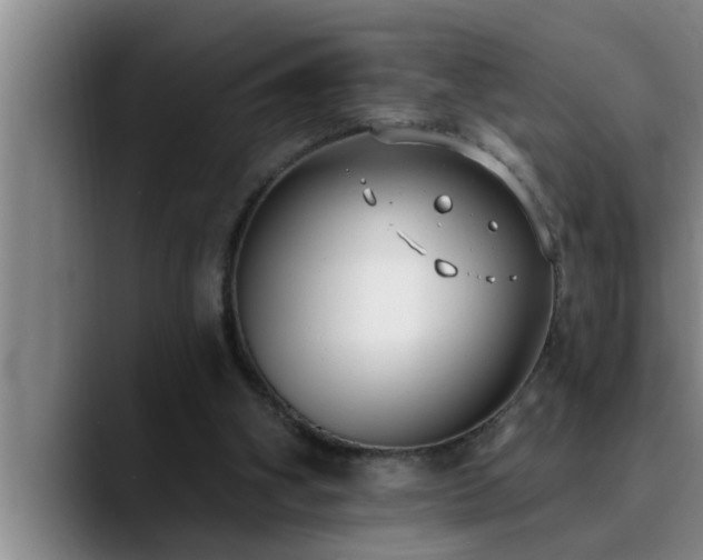 X0000090710106200707201222