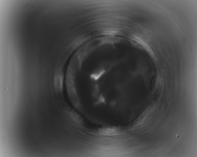 X0000090710110200707201222