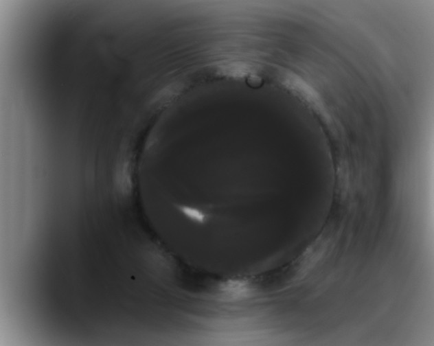 X0000090710114200707201222