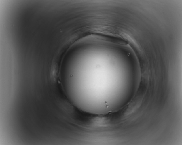 X0000090710119200707201222