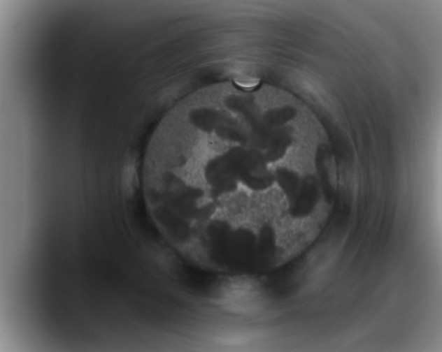 X0000090710127200707201222