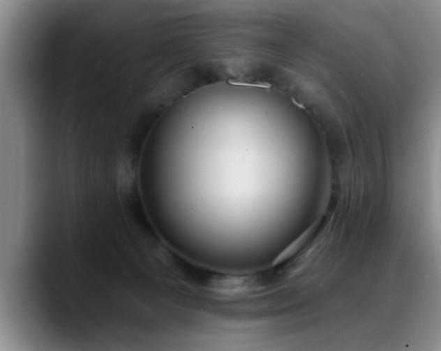 X0000090710129200707201222