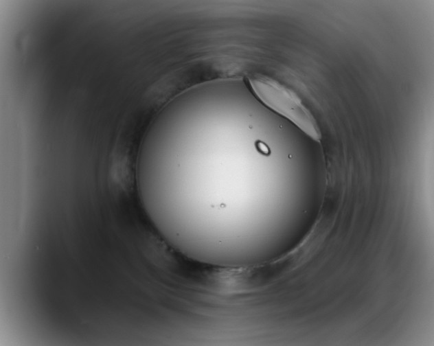 X0000090710136200707201222