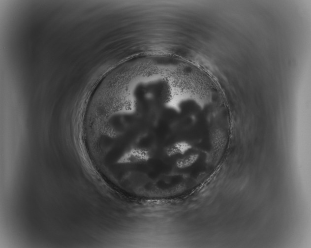 X0000090710145200707201221