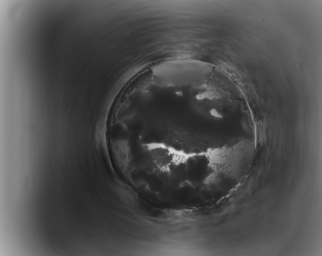 X0000090710147200707201221