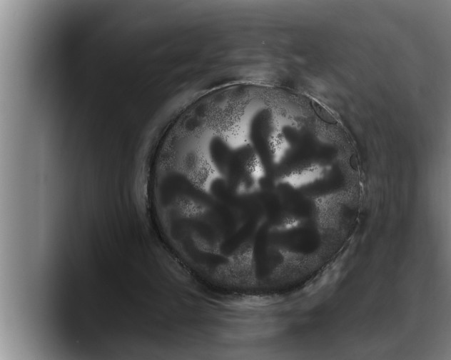 X0000090710149200707201221