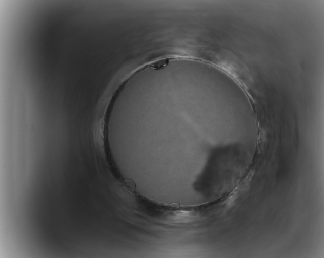 X0000090710151200707201221