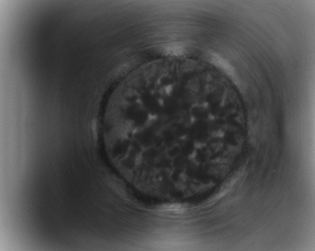 X0000090710161200707201222