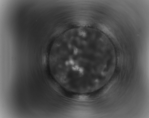 X0000090710165200707201222