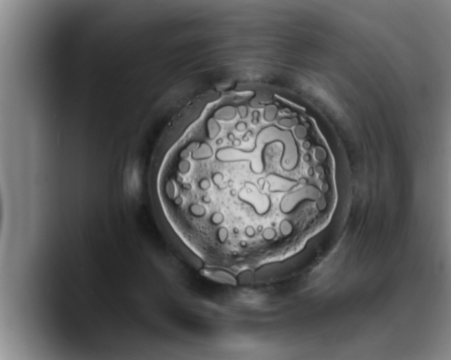 X0000090710166200707201222