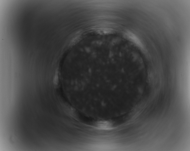 X0000090710169200707201222