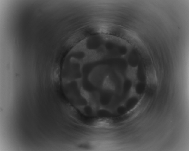 X0000090710175200707201222