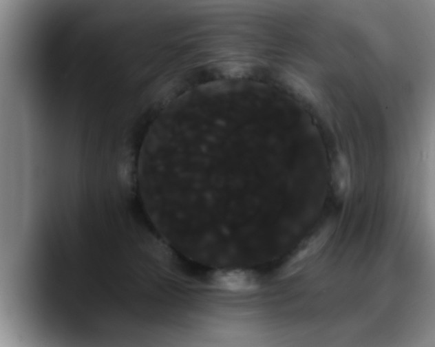 X0000090710181200707201222