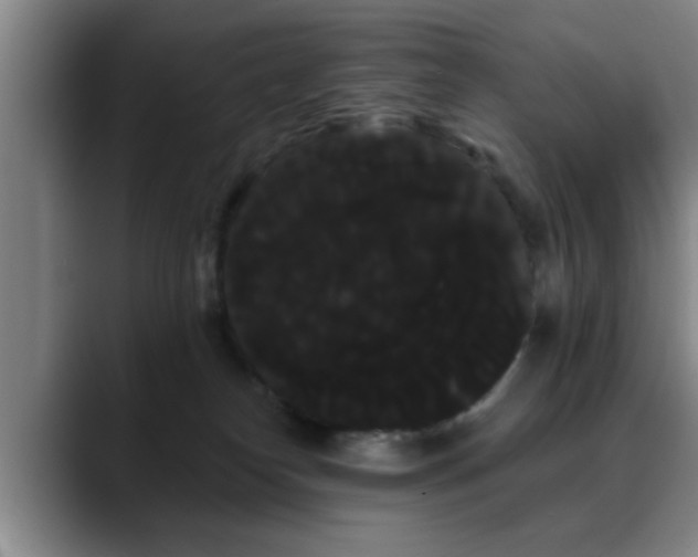 X0000090710182200707201222