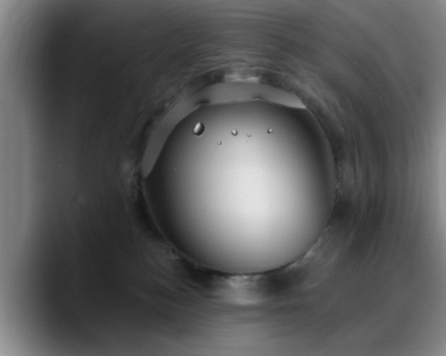 X0000090710184200707201222