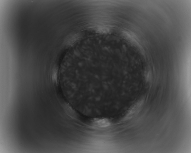 X0000090710185200707201222