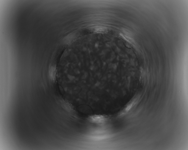 X0000090710189200707201222