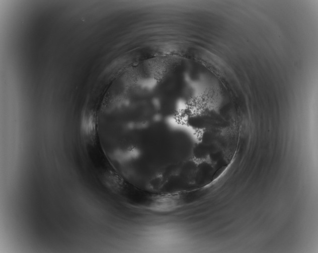 X0000090710191200707201222