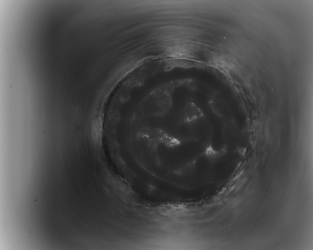 X0000090710194200707201221