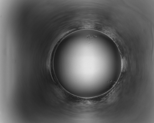 X0000090710195200707201221