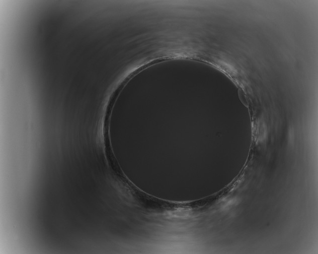 X0000090710196200707201221