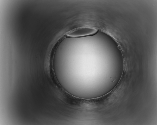 X0000090710199200707201221